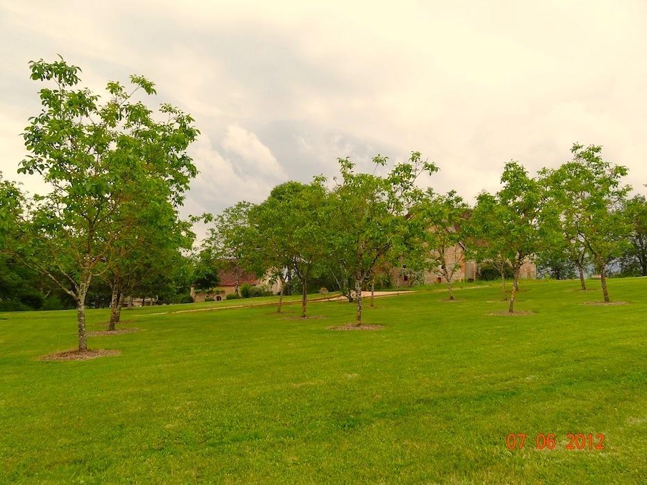 ブサック Mas Del Lum Bed & Breakfast エクステリア 写真